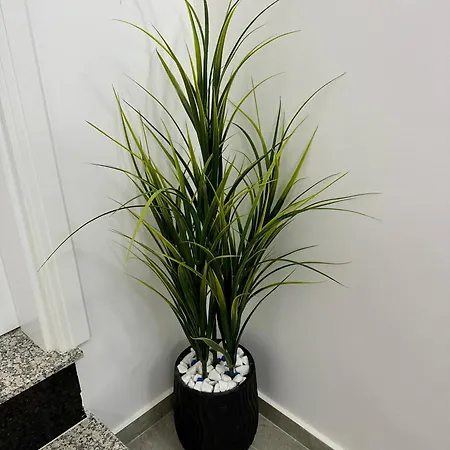 Szálloda Blackmountain *